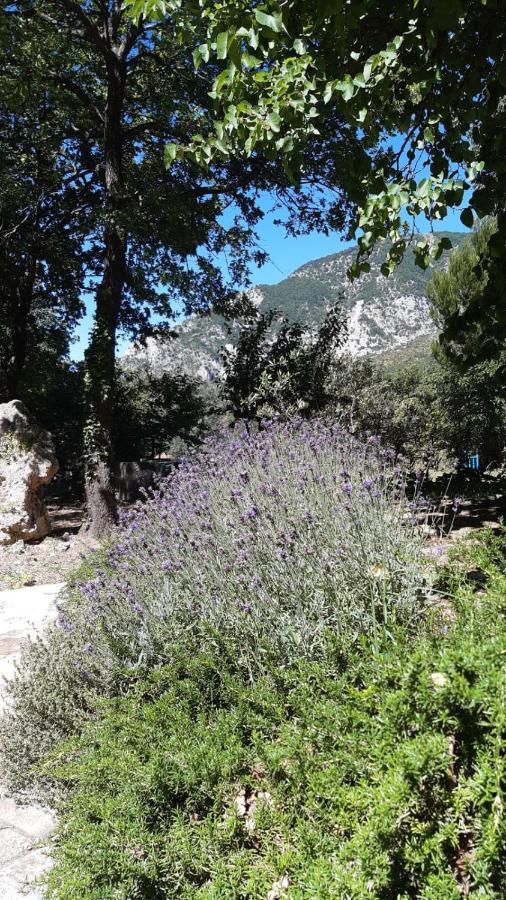 Azienda Agrituristica La Torretta Tocco da Casauria Εξωτερικό φωτογραφία