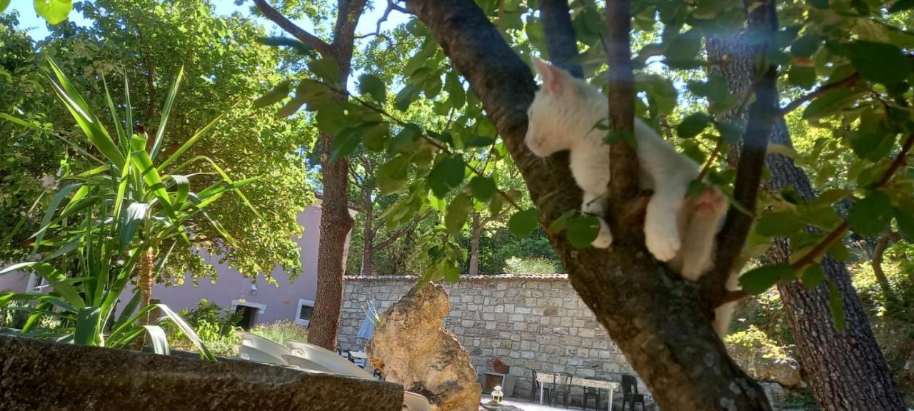 Azienda Agrituristica La Torretta Tocco da Casauria Εξωτερικό φωτογραφία