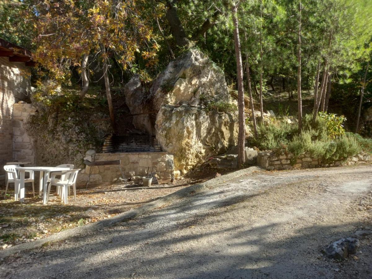 Azienda Agrituristica La Torretta Tocco da Casauria Εξωτερικό φωτογραφία