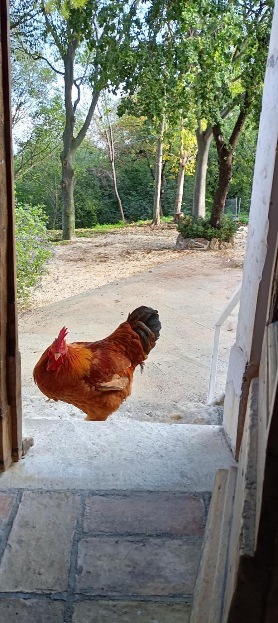 Azienda Agrituristica La Torretta Tocco da Casauria Εξωτερικό φωτογραφία